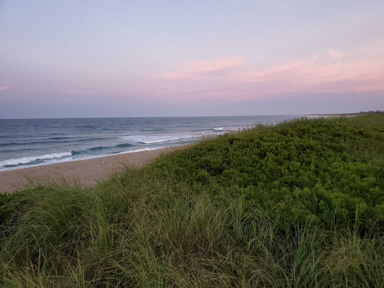 20200727 053024 768x576