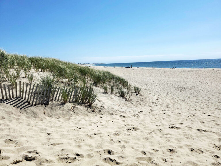 Beaches A Complete Guide to Nantucket Beaches