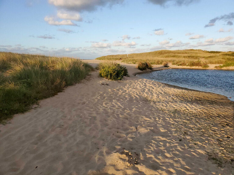 Beaches - A Complete Guide to Nantucket Beaches