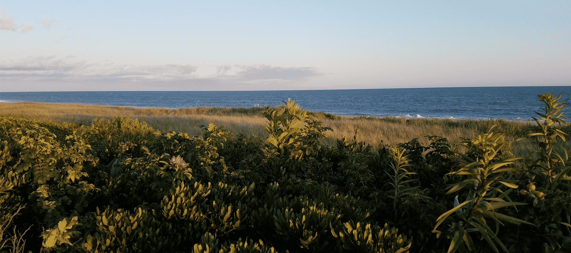 Nantucket Fall | Nantucket, MA