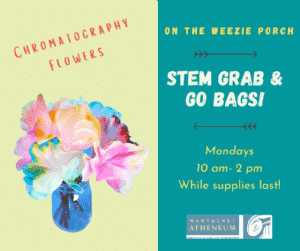 STEM Grab & Go Bags: Chromatography Flowers | Nantucket, MA
