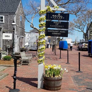 Daffodil Season | Nantucket, MA