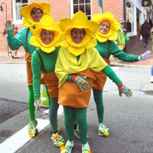 Daffodil Season | Nantucket, MA