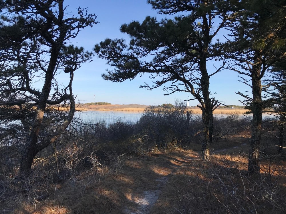 Walkabout Lost Farm Sanctuary