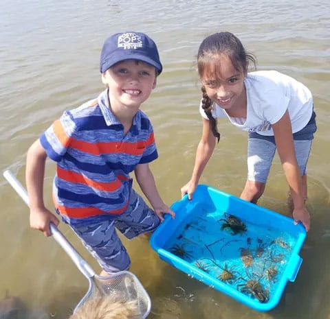 Beach Biology Field Trip - Maria Mitchell