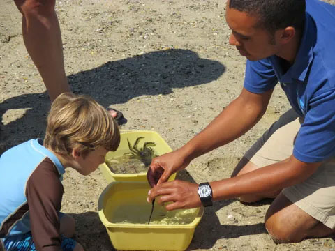Marine Ecology Field Trip - Maria Mitchell