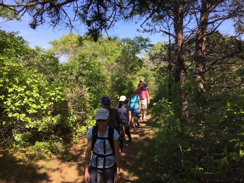 Walkabout Shawkemo Hills