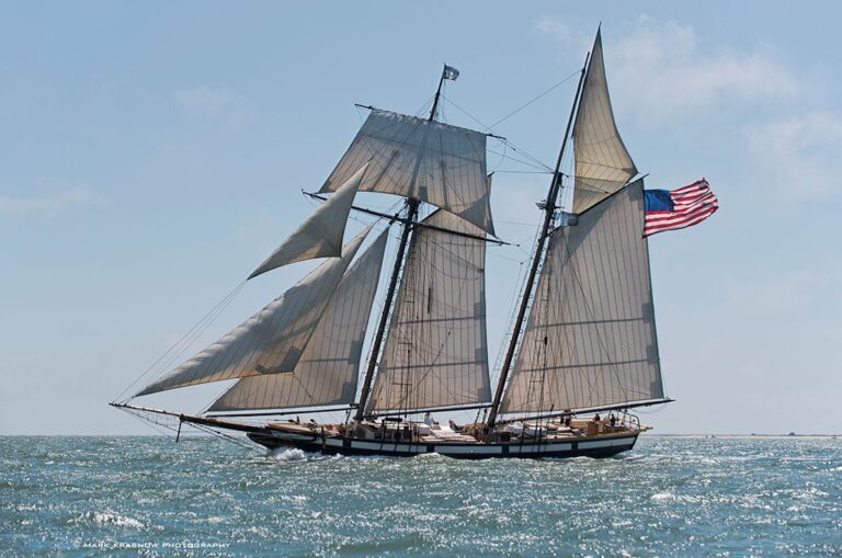 Tall ship lynx 768x509