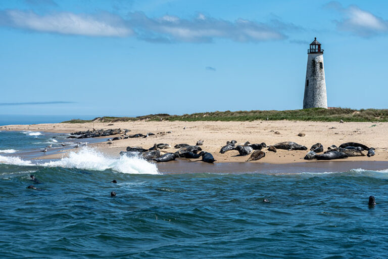Cooper Jenkins Scituate MA A744469 400 768x512