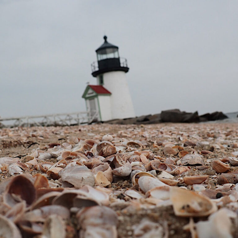 Nicholas Stasio New Rochelle NY 400 1 768x768