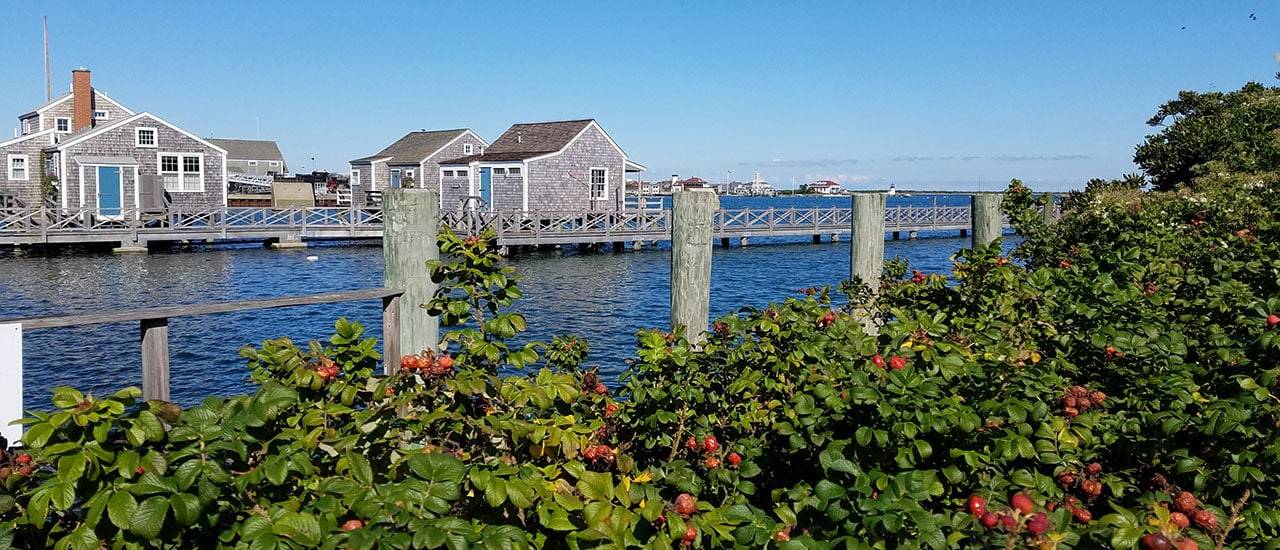 Nantucket Fall | Nantucket, MA