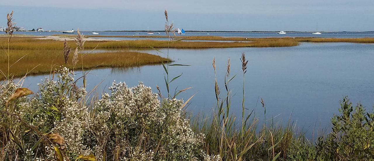 Nantucket Fall | Nantucket, MA