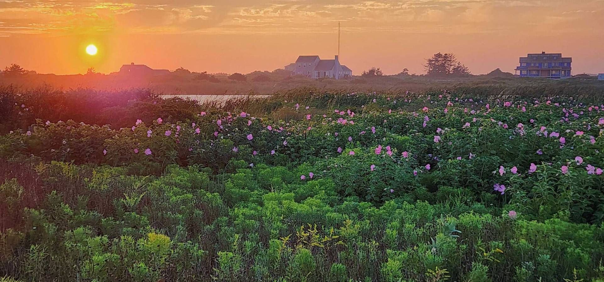 Nantucket Spring | Nantucket, MA